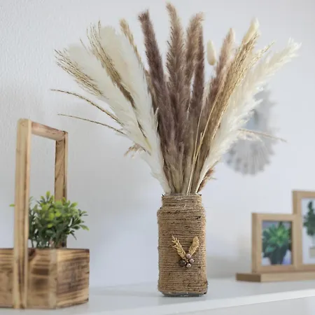 El Vallado Barca Cardon